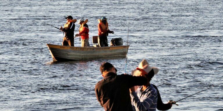 Imagem de compartilhamento para o artigo MS lança campanha da pesca esportiva durante feira mais importante do segmento da MS Todo dia